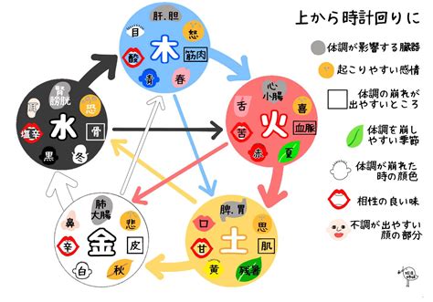 陰陽 五行|陰陽五行思想